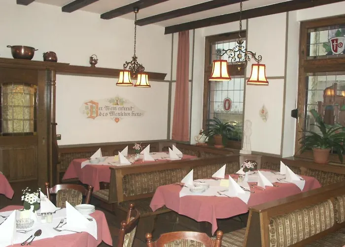 Отель Rheinstein 3*